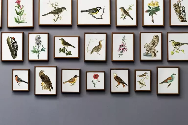 wall signs and pictures of birds frames hanging on wall